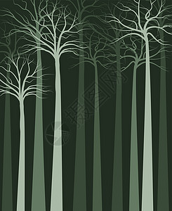 林林景观生长气候绘画荒野卡片森林环境季节花园插图图片