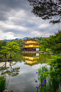 日本京都Kinkakuji金殿地标神道文化旅游历史性佛教徒建筑学建筑神社反射图片