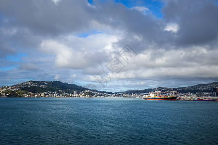 新西兰惠灵顿市风景海景海岸城市旅游旅行蓝天码头海洋运输地标渡船图片