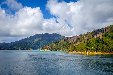 新西兰森林渡船海洋假期峡湾海滩蓝色山脉海岸线天空图片