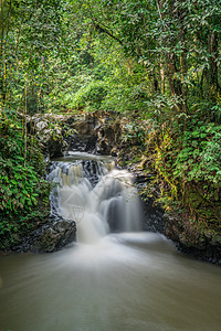 Tawau Hills公园瀑布摄影丛林风景溪流自然保护区热带森林绿色图片