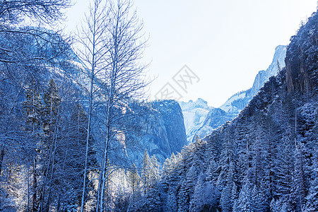 约塞米特早春公园环境晴天岩石草原观光瀑布森林风景旅游图片