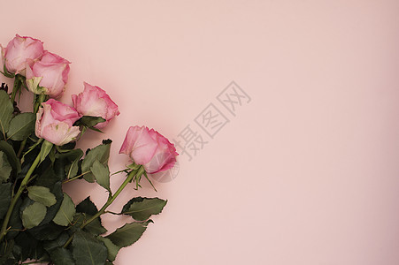 令人惊叹的粉红色玫瑰花束在强烈的粉红色背景上 复制空间 花卉框架 婚礼 礼品卡 情人节或母亲节背景周年婚姻礼物妈妈们墙纸植物卡片图片