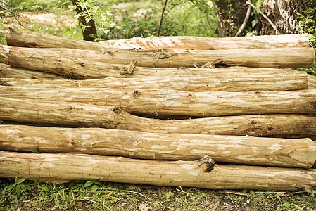 森林里堆成的木桩 木堆 关上生态树干日志林业木头树桩记录树木松树材料背景图片