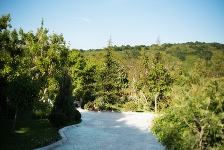 在美丽的花园的巷子上 有花和树林 夏天在花园里衬套旅行草地风景园艺胡同长椅树篱路线场景图片