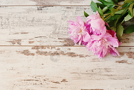 白光质朴的木制背景上令人惊叹的粉红色牡丹 复制空间 花卉框架 复古 阴霾的样子 婚礼 礼品卡 情人节或母亲节背景风格卡片花瓣乡村图片