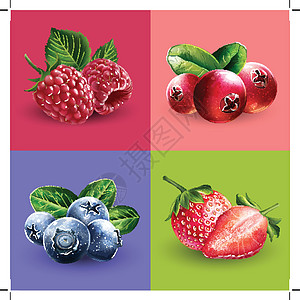 覆盆子 蔓越莓 蓝莓和草莓广告果汁包装甜点生态食物标签美食烹饪叶子图片