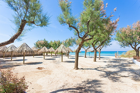 普利亚 - 参观美丽的 Spiaggi 海滩图片