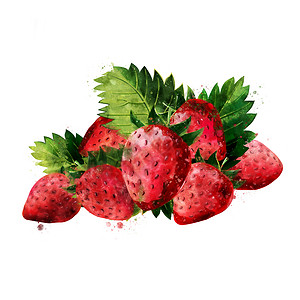 白色背景上的草莓 它制作水彩画烹饪餐厅蜜饯插图收成甜点广告食物浆果厨房图片