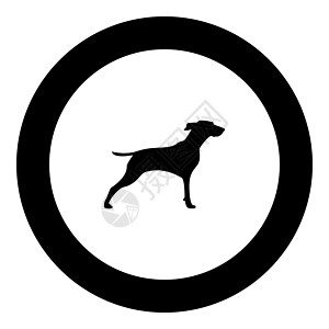 猎人狗或猎犬图标黑色矢量插图简单图像动物小狗打猎圆形圆圈犬类捕食者宠物图片