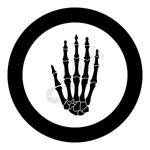 手骨图标黑色矢量插图简单图像手臂掌骨圆形手指骨骼桡腕远端射线腕掌骨药品图片