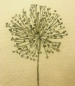 纹理自然花卉动机装饰背景特写概念背景图片