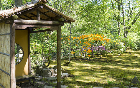 在哈格霍兰德的公园里植物群地标植物风景旅游花坛禅意游客旅行图片