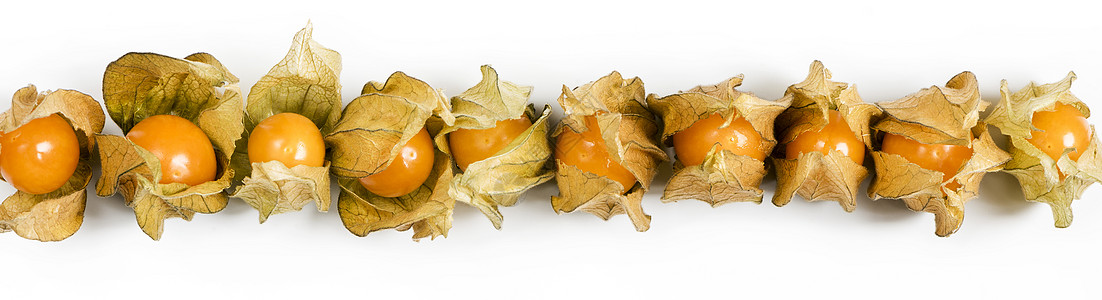 植物 水果 有纸质的圆壳食物果皮边缘酸浆浆果外壳金色背光黄色橙色图片