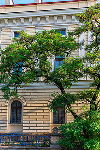 城市街上一座建筑的凳子背景上的绿树图片