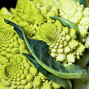 的细节也被称为罗马 cauliflowe食物螺旋蔬菜分形淡绿色绿色背景图片