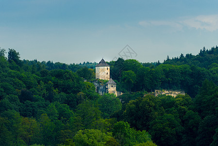 波兰Ojców公园树丛间的城堡塔楼图片