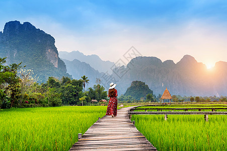 在老挝Vang Vieng带绿稻田的木路上行走的年轻妇女假期旅行气球冒险文化场地旅游全景丛林游客图片