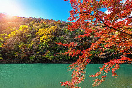 在日本京都沿河的秋季亚林山叶子季节地标竹子旅游植物女孩花园假期木头图片