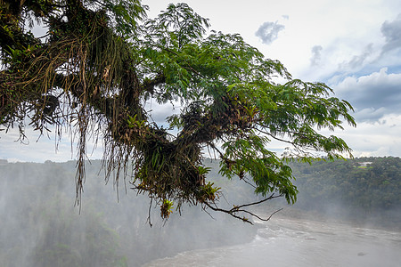 iguazu瀑布上的Parana河世界天空拉丁旅游热带太阳风景地标瀑布急流图片