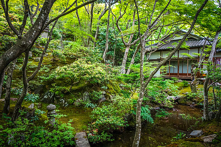 日本京都Jojakkoji寺庙旅游神社竹子宗教神道游客佛教徒文化建筑学崇拜图片