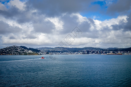 新西兰惠灵顿市风景海景海岸建筑物渡船城市晴天支撑旅行海洋天空码头图片