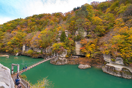 福岛日本不为赫苏里岛日本悬崖叶子季节爬坡树木池塘松树镜子地块反射图片