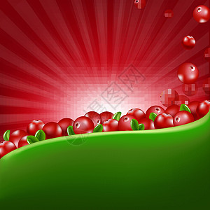 红蔓越莓边框与 Sunburs图片