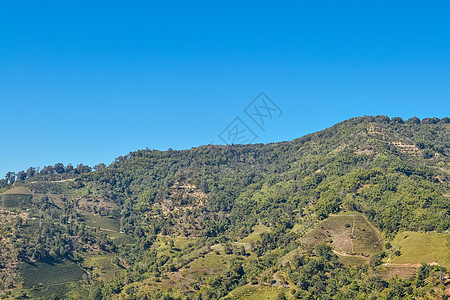 蓝天空的森林和山地景观阳光草地天空蓝色公园风景爬坡全景季节场景图片