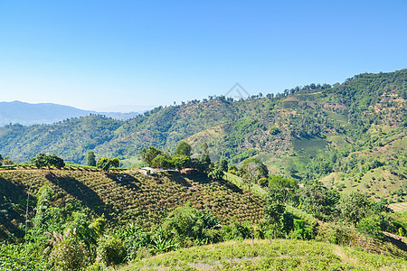 蓝天空的森林和山地景观天空爬坡蓝色风景阳光绿色场景公园季节全景图片