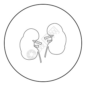 以圆或圆圆的黑颜色图标键药品圆圈器官圆形生物学静脉科学肾脏医疗身体图片