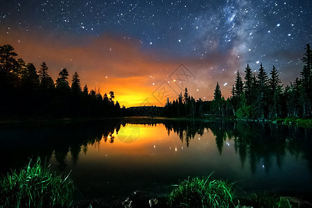 星星般的天空 挤奶的方式 长期暴露的照片 夜色风景松树夜空夜景蓝色星系望远镜森林乳白色宇宙高山图片