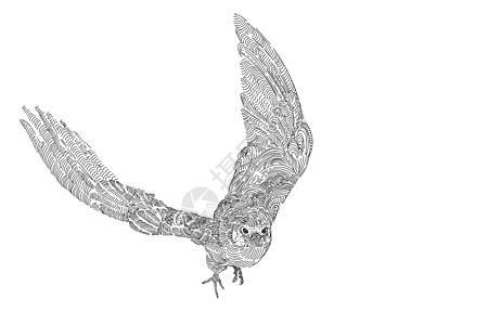 白背景孤立的飞行猎鹰鸟绘画图片