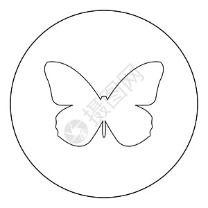 圆圈中的蝴蝶图标黑色颜色昆虫绘画动物风格装饰艺术空白圆形图片