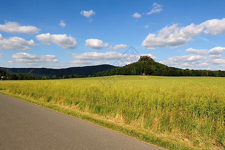 夏季风景 森林 草地 岩石和天空爬坡山脉场景场地季节农场土地环境农村太阳图片