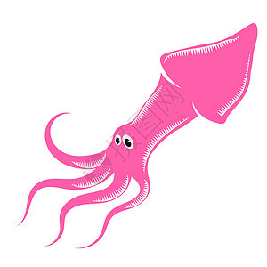 孤立的粉红色卡通鱿鱼 可爱的海鲜 动物在水下 海怪图片