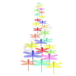 彩色 Stilized 蜻蜓套装 昆虫标志设计 七叶草图片
