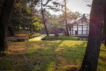 日本奈拉公园Papillion日落花园寺庙公园文化树木神道房子地标历史性图片