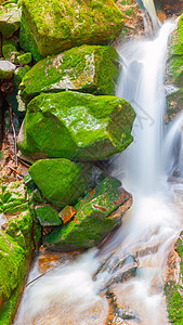 小溪水流在石之间 长期暴露于此岩石森林苔藓瀑布荒野场景自然运动叶子环境图片