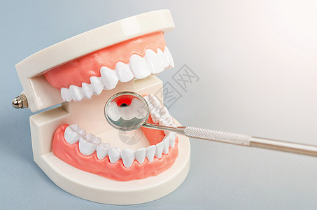 牙齿牙齿类假牙与设备牙科图片