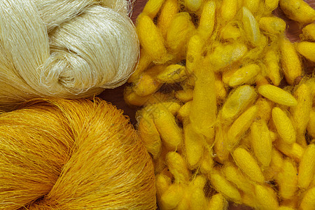 白色和黄色茧或蚕背景文化昆虫金子纤维纺织品编织植物材料衣服宏观图片