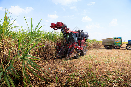 甘蔗收获机活力机器收获工作工厂机械收割机运输稻草卡车图片