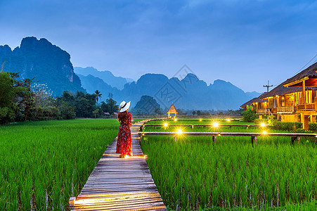 在老挝Vang Vieng带绿稻田的木路上行走的年轻妇女旅行歌曲假期丛林旅游冒险村庄天空全景空气图片