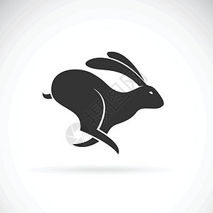 黑兔的载体在白色背景上运行 野生动物图片