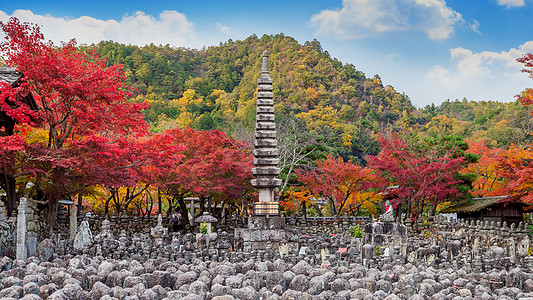 秋天在日本京都的阿达希诺恩布津寺庙旅行植物传统宝塔地区森林吸引力石头公园地标图片