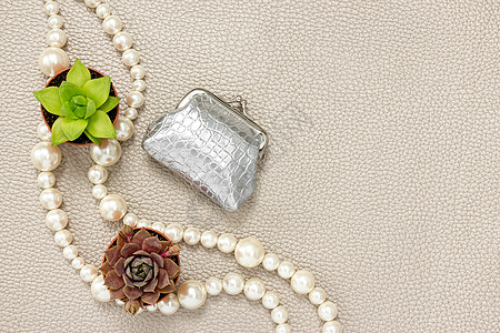 银钱包珍珠项链和多汁植物图片
