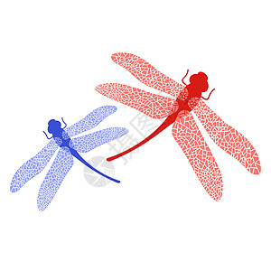 彩色 Stilized 蜻蜓 昆虫标志设计 七叶草野生动物装饰标识艺术风格航班插图翅膀生物学荒野图片