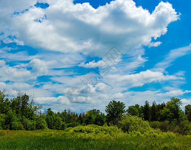 绿地上的夏月云图片