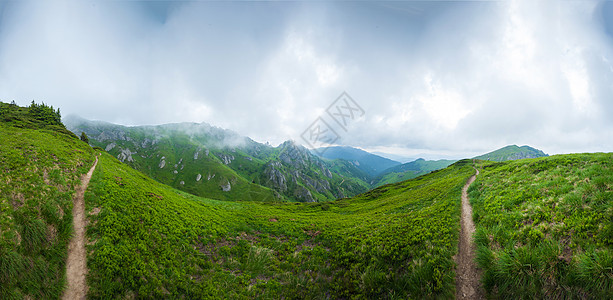 夏季天文山的全景森林远足树木松树旅游晴天风景小路高山顶峰图片