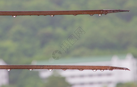 钢辐与雨后的雨滴说话图片